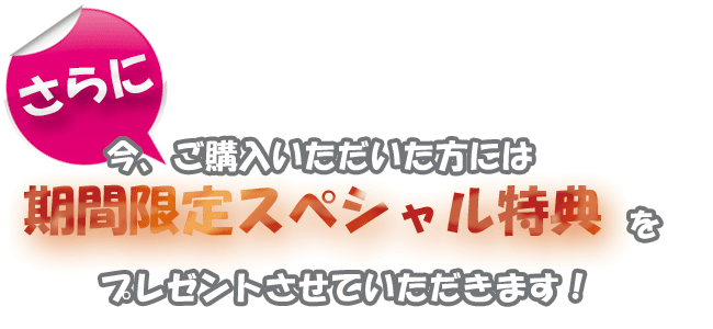 さらに、今ご購入ただいた方には期間限定スペシャル特典をプレゼントさせていただきます！